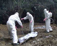 Trung Quốc phát hiện 1 trường hợp nghi nhiễm Ebola