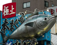 Cảnh mổ xẻ cá khủng ở chợ cá Tsukiji lớn nhất thế giới