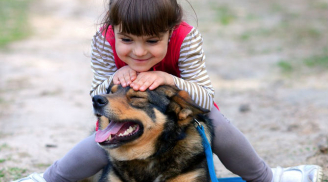 8 lợi ích kì diệu với sức khỏe khi bạn nuôi một chú chó