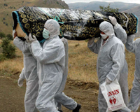 Cả nhà chết vì nhiễm Ebola nghi do ăn thịt thú rừng