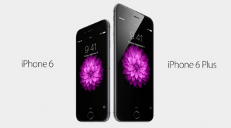 Chọn iPhone 6 hay iPhone 6 Plus ?