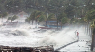 Tin bão Kalmaegi: Đổ bộ trực tiếp vào Quảng Ninh - Hải Phòng