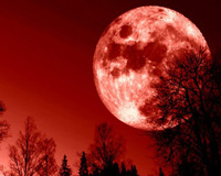 Dân Hà Nội đổ xô đi ngắm 'mặt trăng máu' tuyệt đẹp
