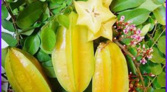 7 loại quả màu vàng bạn nên ăn mỗi ngày