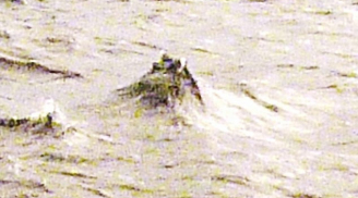 Thực hư ảnh đầu quái vật hồ Loch Ness nhô lên khỏi mặt nước