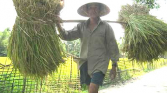 Tận mục những ngôi làng kỳ lạ nhất Việt Nam