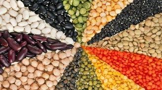 Top 4 loại hạt là thần dược sức khỏe bạn nên ăn mỗi ngày