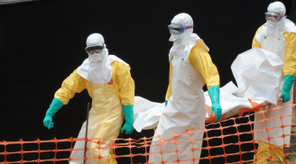 Thông cáo về tình hình đại dịch Ebola