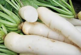 Củ cải trắng - ngăn ngừa ung thư và trị viêm loét dạ dày tốt