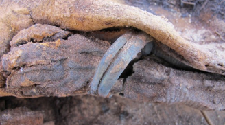 Kinh hãi phát hiện nghĩa địa cổ chứa hơn 1 triệu xác ướp