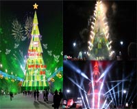 Chiêm ngưỡng cây thông Noel cao nhất Việt Nam