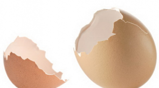 Vỏ trứng gà có công dụng chữa bách bệnh