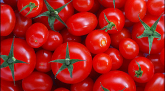 Những người cấm ăn cà chua