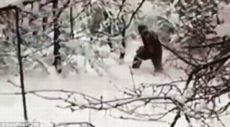 Kinh hãi phát hiện người tuyết Yeti bí ẩn trong rừng