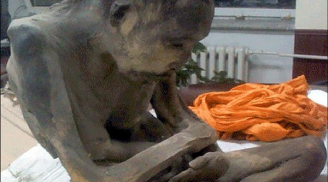 Tìm thấy xác ướp 'Phật sống ngồi thiền' 200 năm tuổi