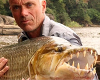Điểm mặt những loài cá ăn thịt người đáng sợ nhất thế giới