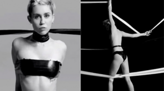 Video của Miley Cyrus được chiếu tại LHP khiêu dâm