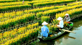 Đến thăm ngôi làng 'có bốn mùa xuân' độc nhất Việt Nam