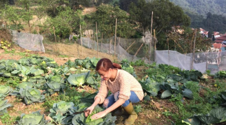 Hoàng Thùy Linh về quê làm nông dân chuyên nghiệp