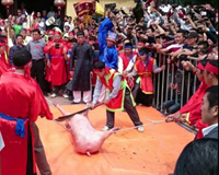 Nhà văn hóa dân gian nói về lễ hội chém lợn và 'sờ ngực'