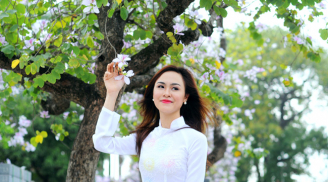 Mãn nhãn ngắm hoa ban Tây Bắc rực nở giữa lòng thủ đô Hà Nội