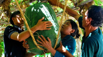 “Choáng” với những củ, quả khổng lồ kì dị ở Việt Nam