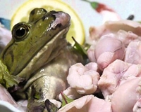 Rùng mình món Sashimi ếch sống ở Nhật