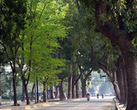 Những tuyến phố xanh tuyệt đẹp ở thủ đô Hà Nội