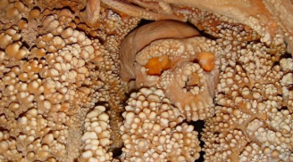 Hãi hùng phát hiện bộ xương gần 200.000 năm tuổi “mọc” đầy răng