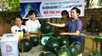 Sốc vì bị chửi 'dán mác' tình nguyện lừa bán dưa Quảng Nam