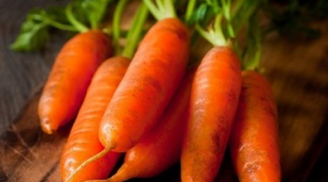 Cách trồng cà rốt, tía tô trong chậu tại nhà
