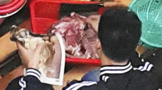 Người Việt tại Hong Kong bị bắt vì nghi... bán thịt chó