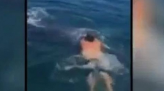 Anh chàng liều mạng cưỡi cá mập trên biển và cái kết bất ngờ