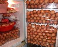 Ăn trộm hơn 1.000 quả trứng trữ trong tủ lạnh ăn dần