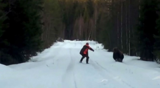 Bị gấu dữ tấn công, ông lão liều lĩnh dọa khiến con gấu bỏ chạy