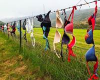 Hàng rào nổi tiếng thế giới với hàng trăm ngàn chiếc áo lót