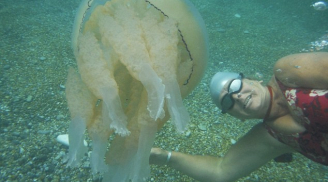 Hãi hùng người phụ nữ chơi đùa cùng con sứa khổng lồ dưới biển