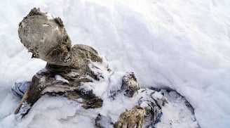 Bí ẩn xác ướp “tắm mình” trong sông băng trên núi