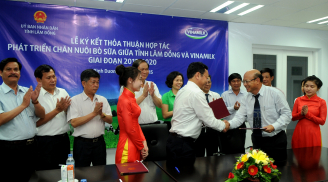 Hợp tác chiến lược giữa Vinamilk và tỉnh Lâm Đồng 2015 - 2020