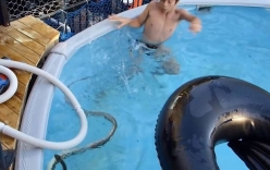 Kinh hãi cảnh 3 cậu bé chơi đùa với rắn khủng trong bể bơi