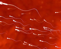 Hơn 20.000 đàn ông Trung Quốc đua nhau đi hiến tinh trùng