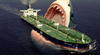 Siêu cá mập Megalodon - Sát thủ hung tợn nhất lịch sử Trái đất