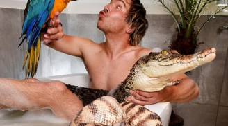 Phát hoảng anh chàng tắm chung với cá sấu và trăn khủng