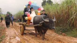 Choáng váng với những đám cưới “siêu độc” tại Việt Nam