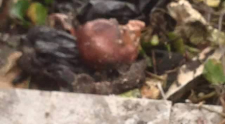 Kinh hoàng: Sinh viên tìm thấy sọ người trong túi khi vớt rác
