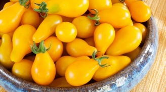 Cách trồng cà chua lê, ớt nhiều màu lạ mắt ngay tại nhà