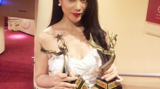 Trương Ngọc Ánh bị tố giả mạo giải thưởng điện ảnh quốc tế
