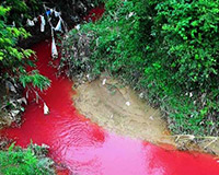 Hãi hùng: Dòng suối  bất ngờ chuyển “màu máu” ở Điện Biên