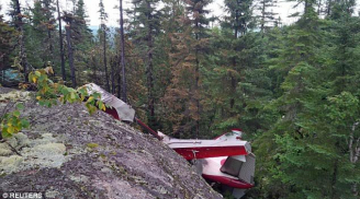 Canada: Máy bay đâm vào núi, toàn bộ hành khách thiệt mạng