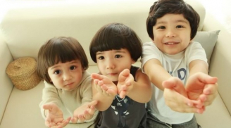 Bộ ba anh em gốc Hàn 'cute nhất vũ trụ' bây giờ ra sao?